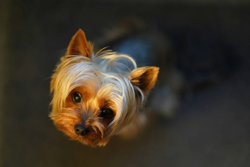 small business loyalty program ideas that actually drive repeat sales