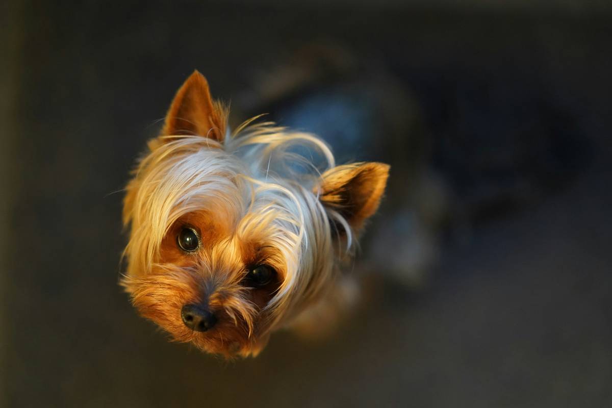 small business loyalty program ideas that actually drive repeat sales